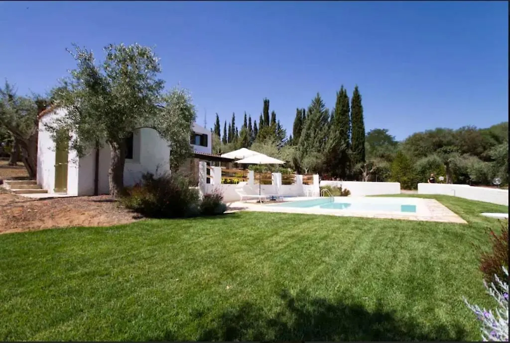 Alghero Villa Melissa Per 6 Persone Con Piscina E Giardino